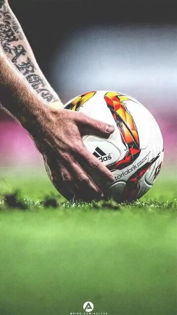 科学的训练 科学的训练